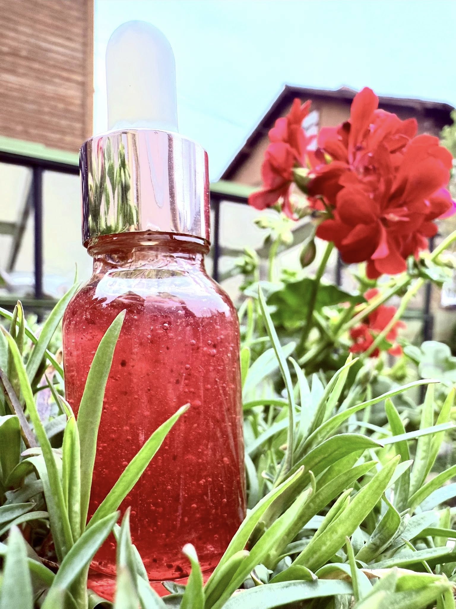 495210247 9683905081647219 1239188973189068943 N